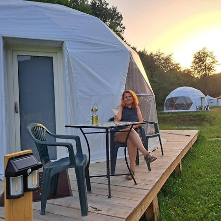 Forest Glamping ブラショフ エクステリア 写真