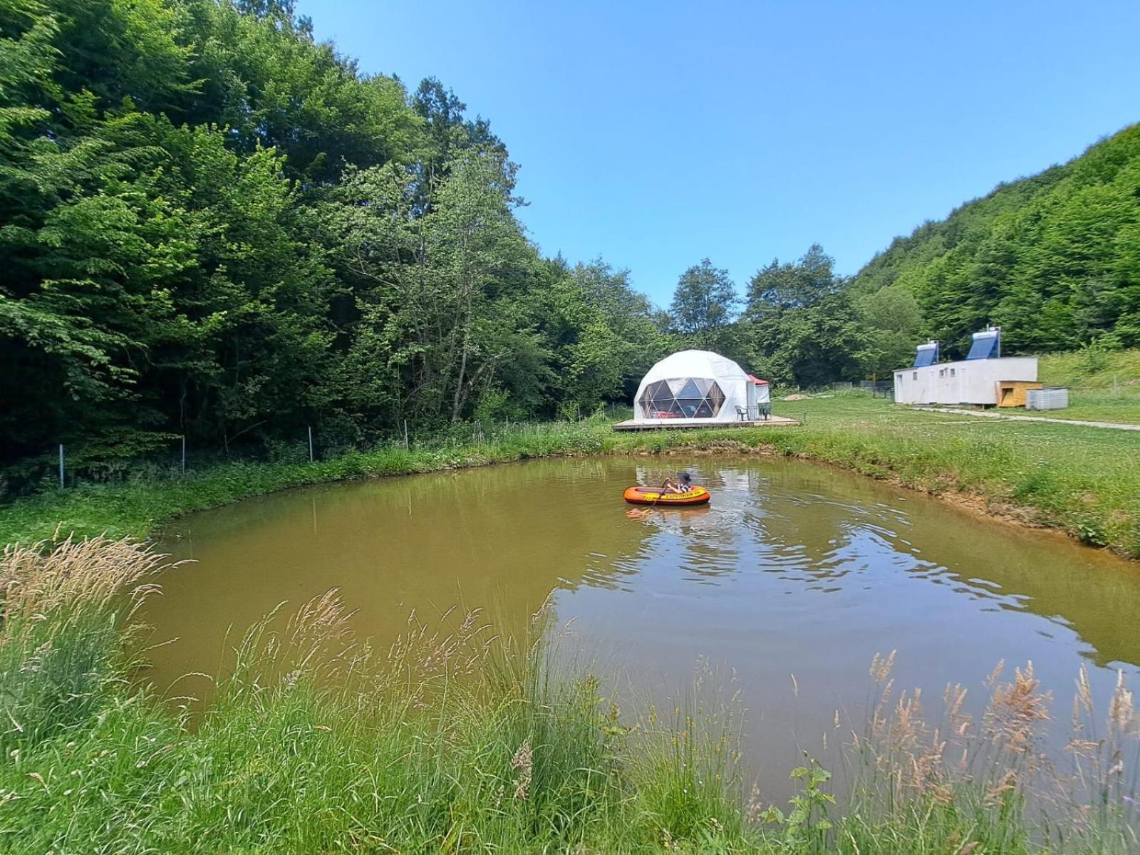 Forest Glamping ブラショフ エクステリア 写真