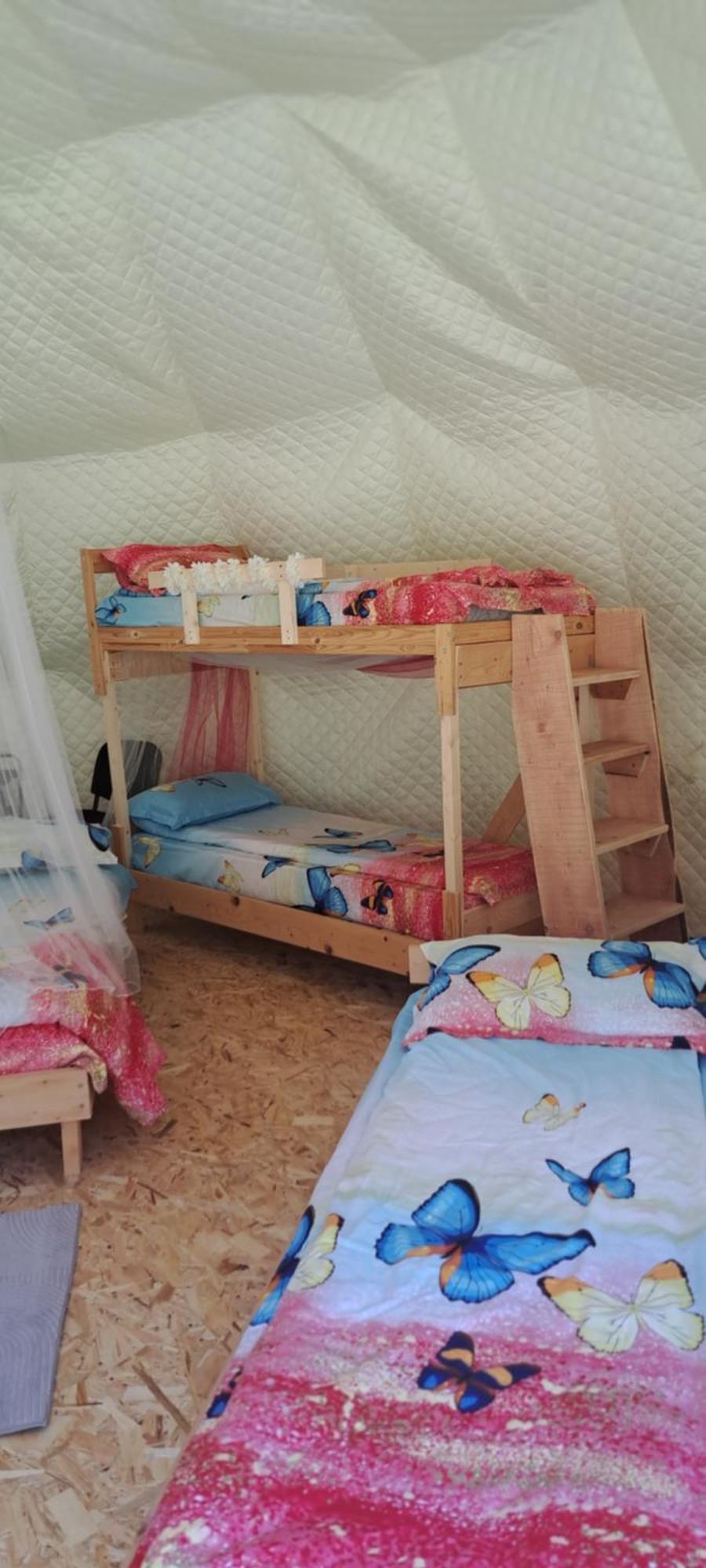 Forest Glamping ブラショフ エクステリア 写真