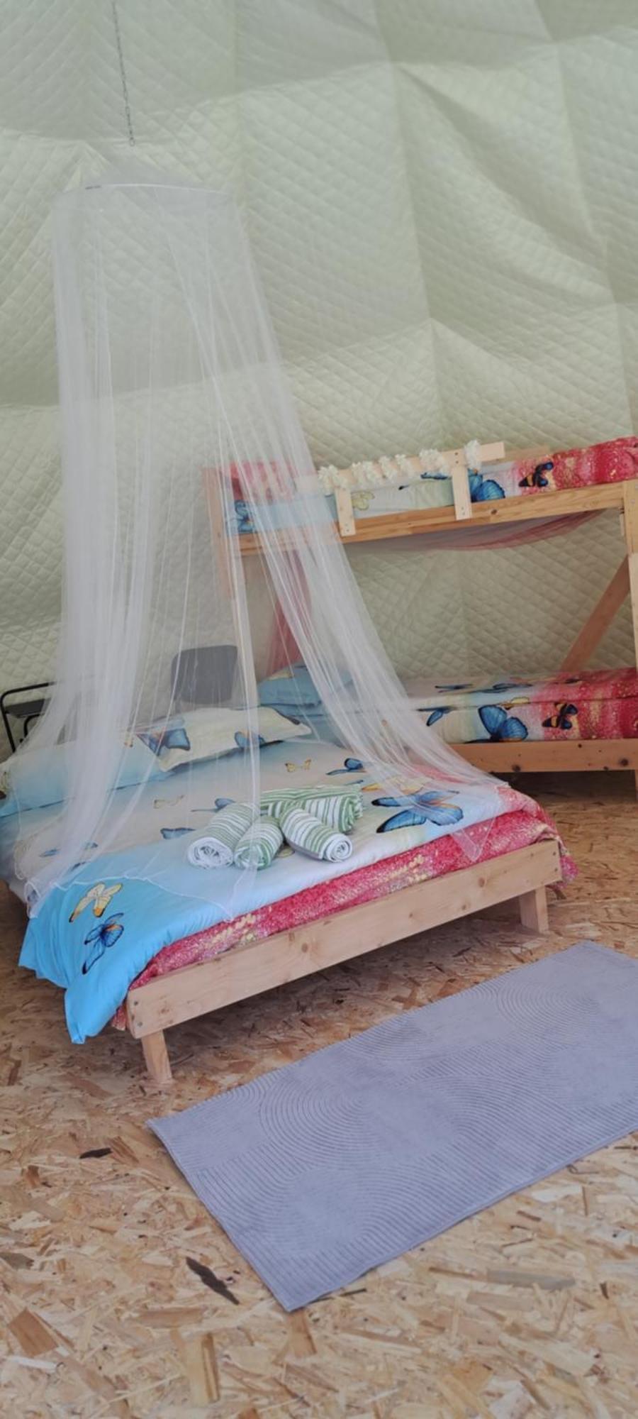 Forest Glamping ブラショフ エクステリア 写真
