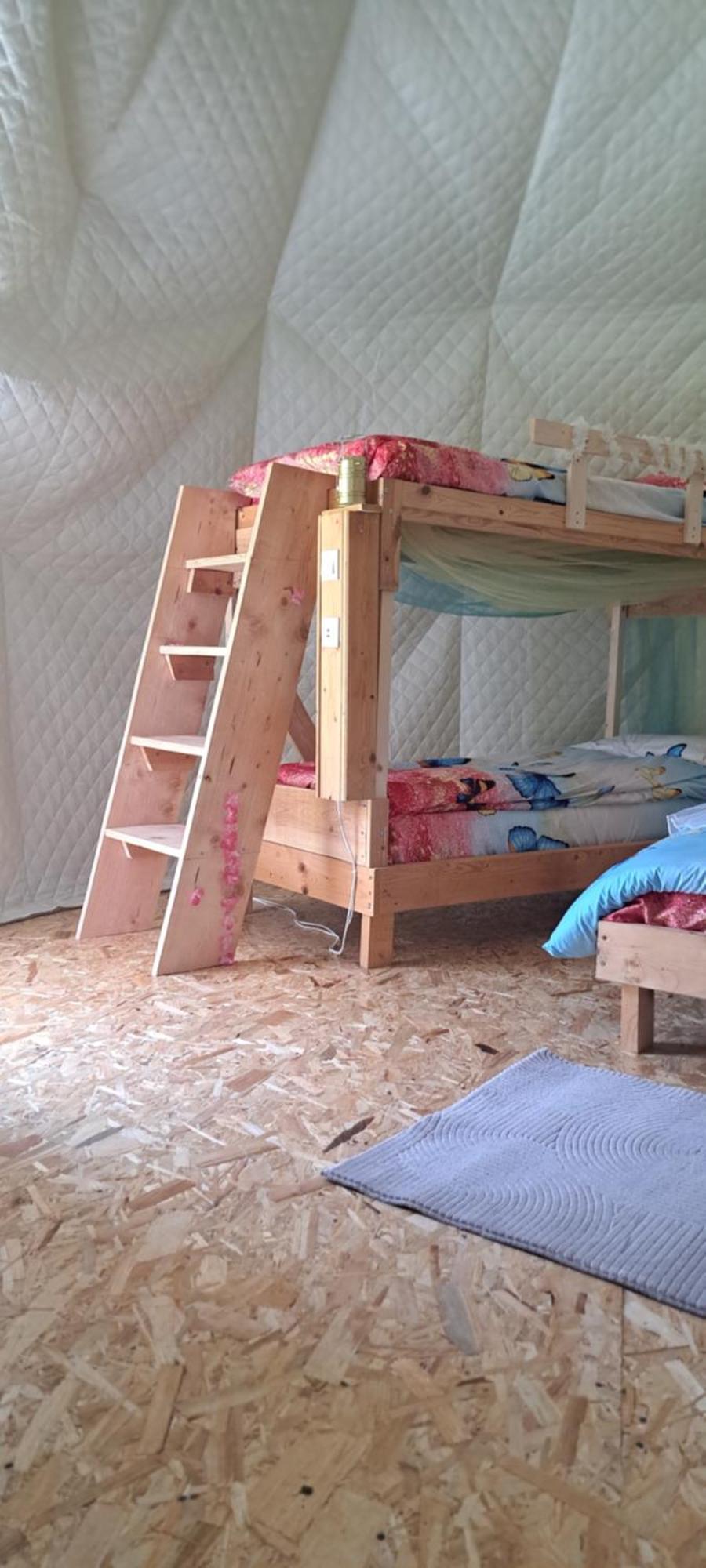Forest Glamping ブラショフ エクステリア 写真
