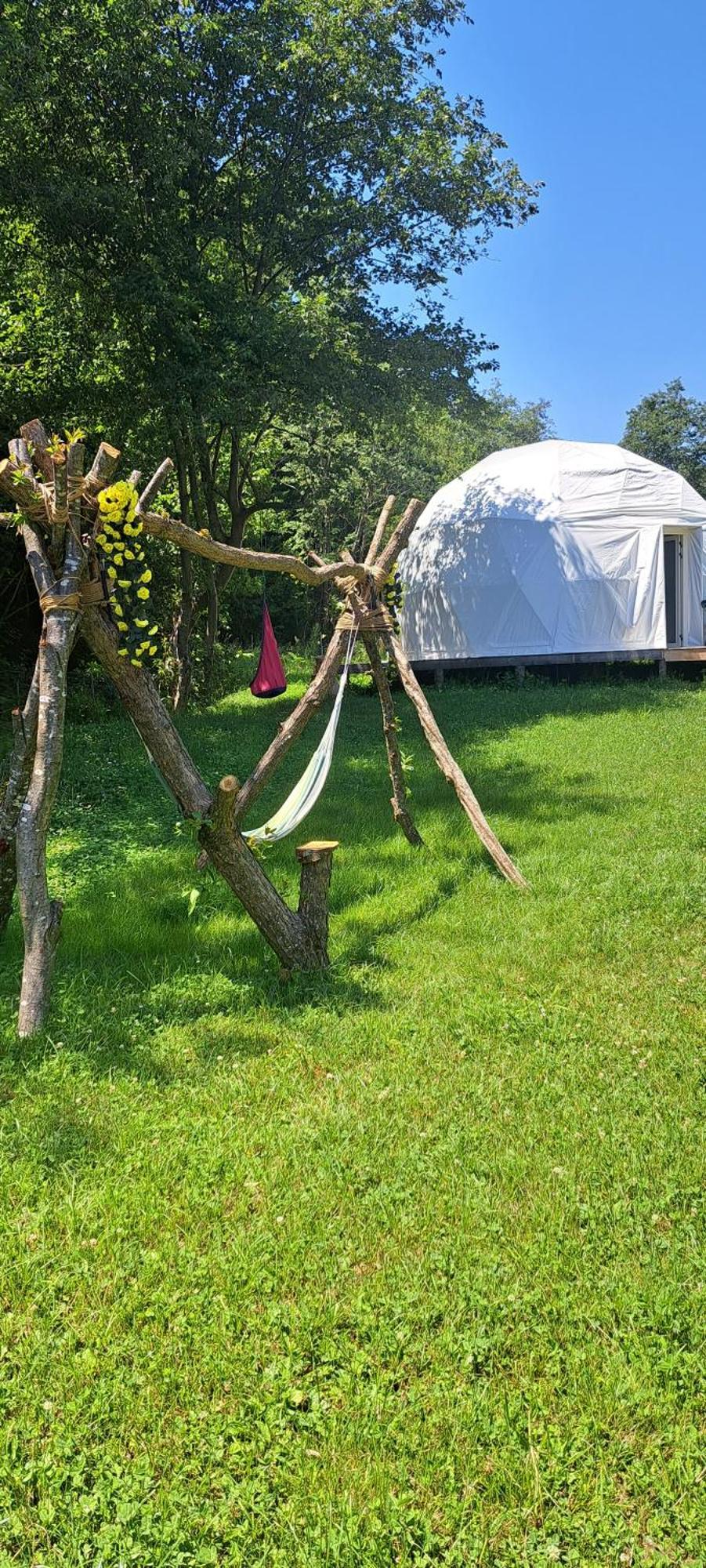 Forest Glamping ブラショフ エクステリア 写真