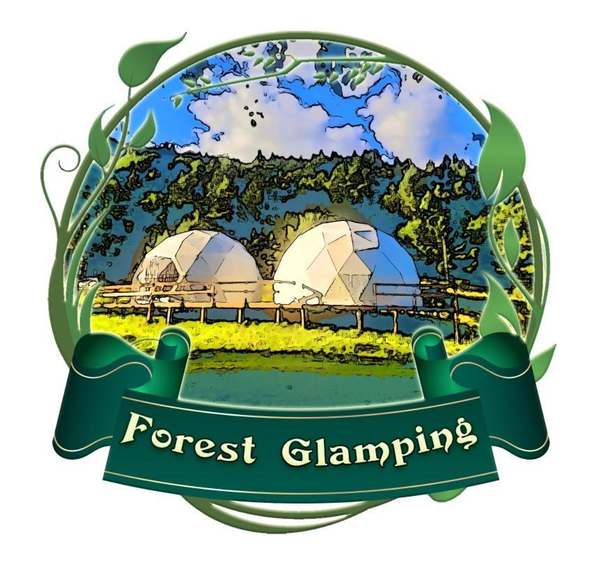 Forest Glamping ブラショフ エクステリア 写真