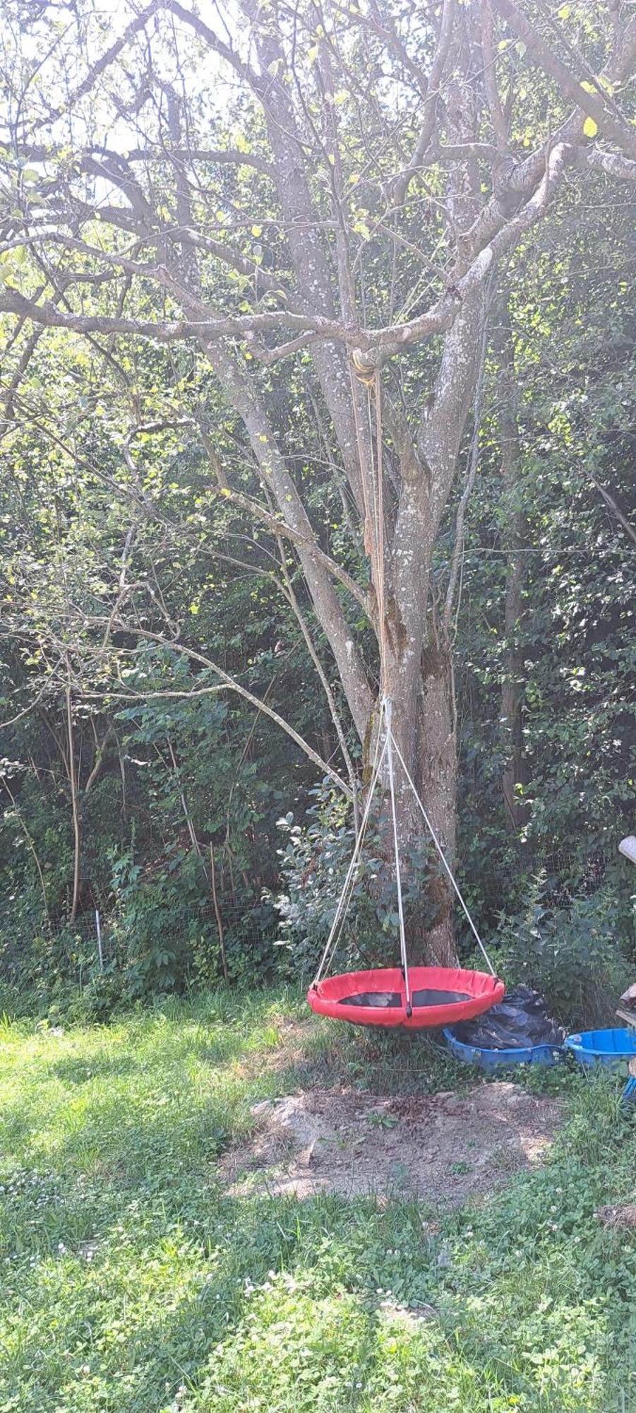 Forest Glamping ブラショフ エクステリア 写真