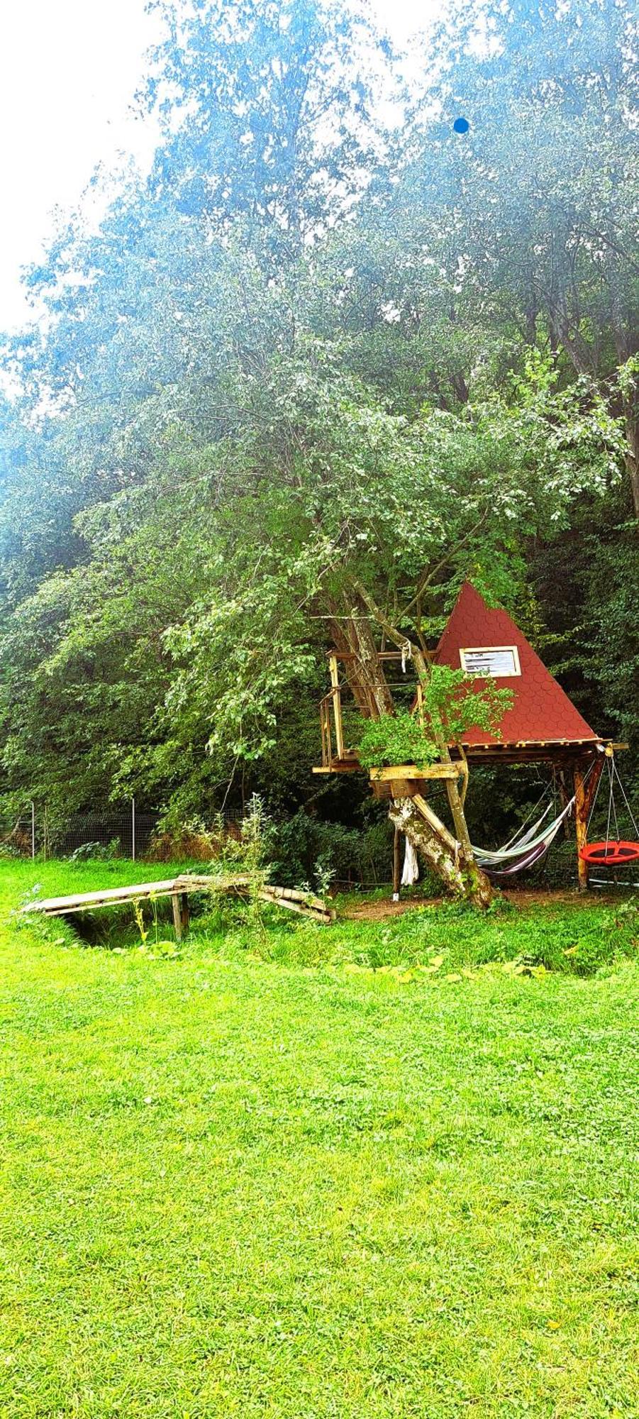 Forest Glamping ブラショフ エクステリア 写真
