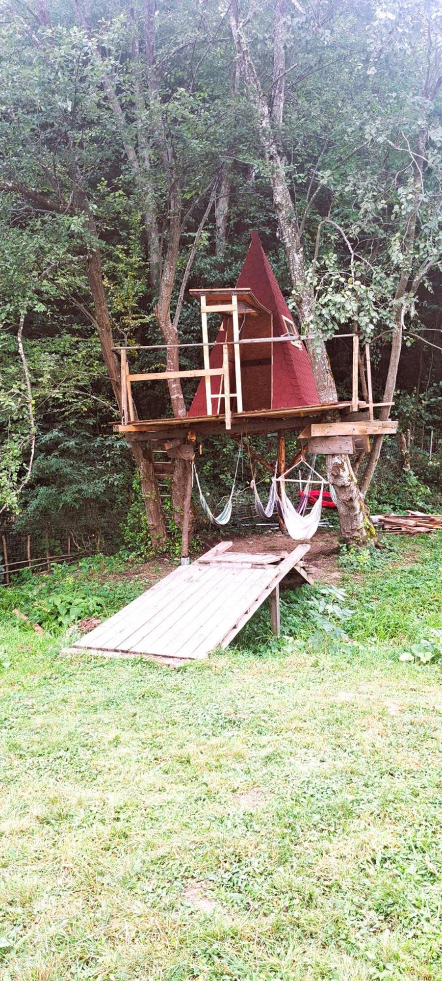 Forest Glamping ブラショフ エクステリア 写真